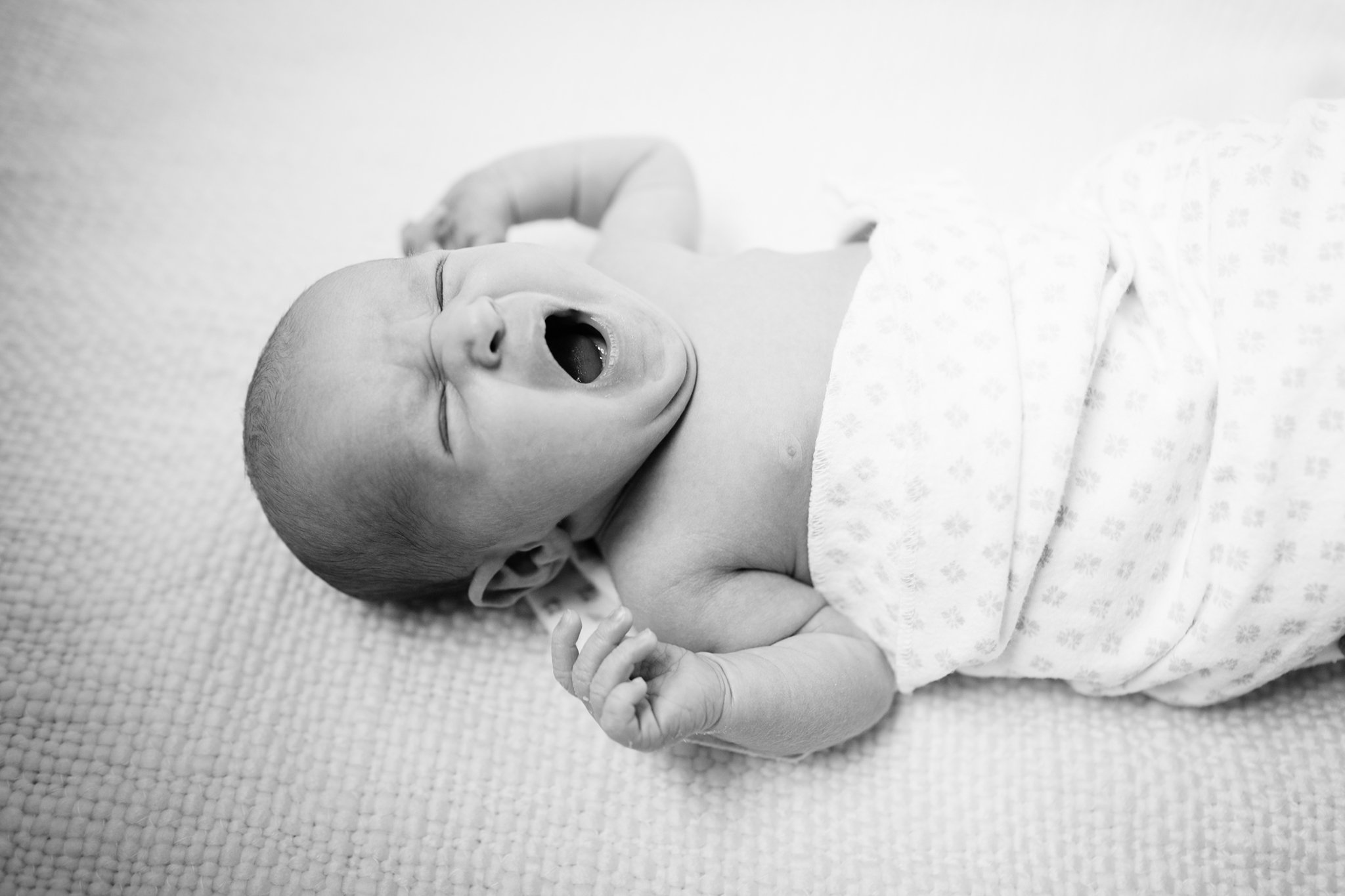 katepricephotography_2016_yearend_029