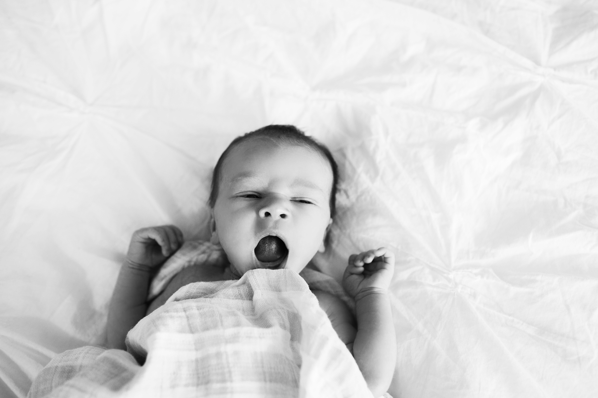 katepricephotography_2016_yearend_059